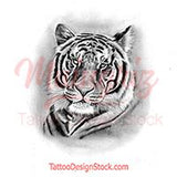 Realistic tiger Tattoo design high resolution download
