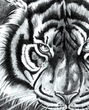 Realistic tiger and compass tatoo design high resolution download