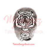 Realistic tiger and compass tatoo design high resolution download